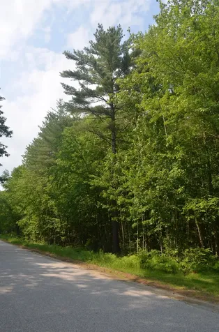 Galloping Hill Road Hopkinton NH 03229