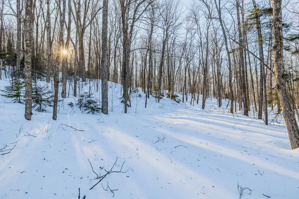 00 Long Hill Road Woodstock VT 05091