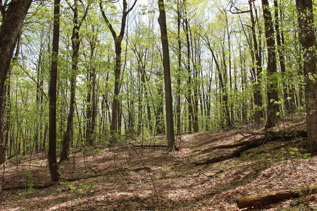 00 Long Hill Road Woodstock VT 05091