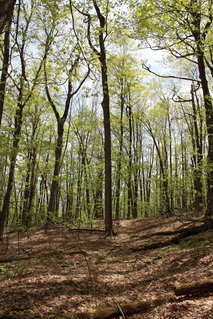 00 Long Hill Road Woodstock VT 05091