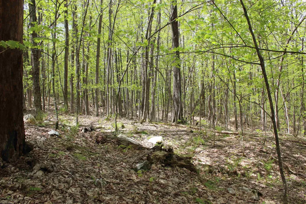 00 Long Hill Road Woodstock VT 05091