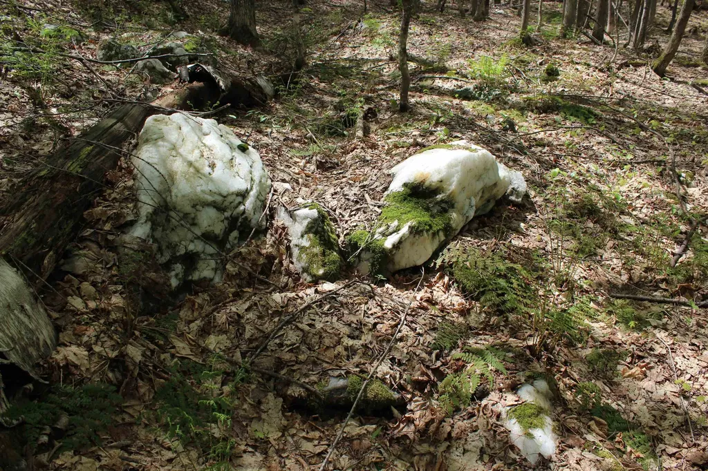 00 Long Hill Road Woodstock VT 05091