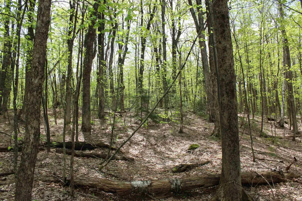 00 Long Hill Road Woodstock VT 05091