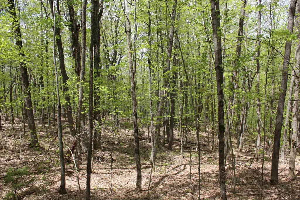 00 Long Hill Road Woodstock VT 05091