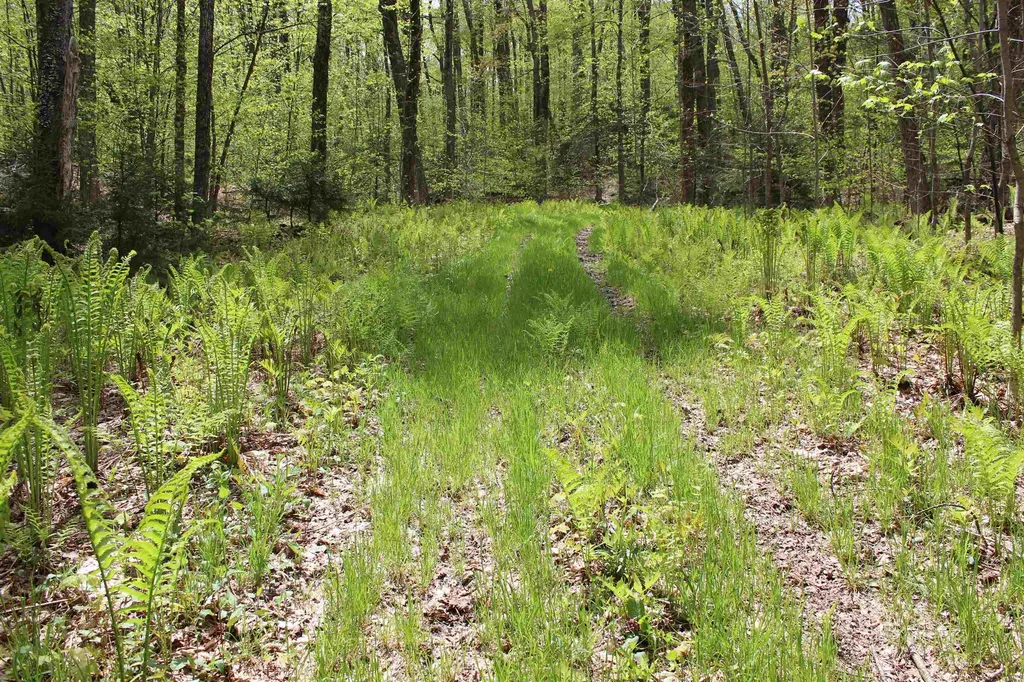 00 Long Hill Road Woodstock VT 05091