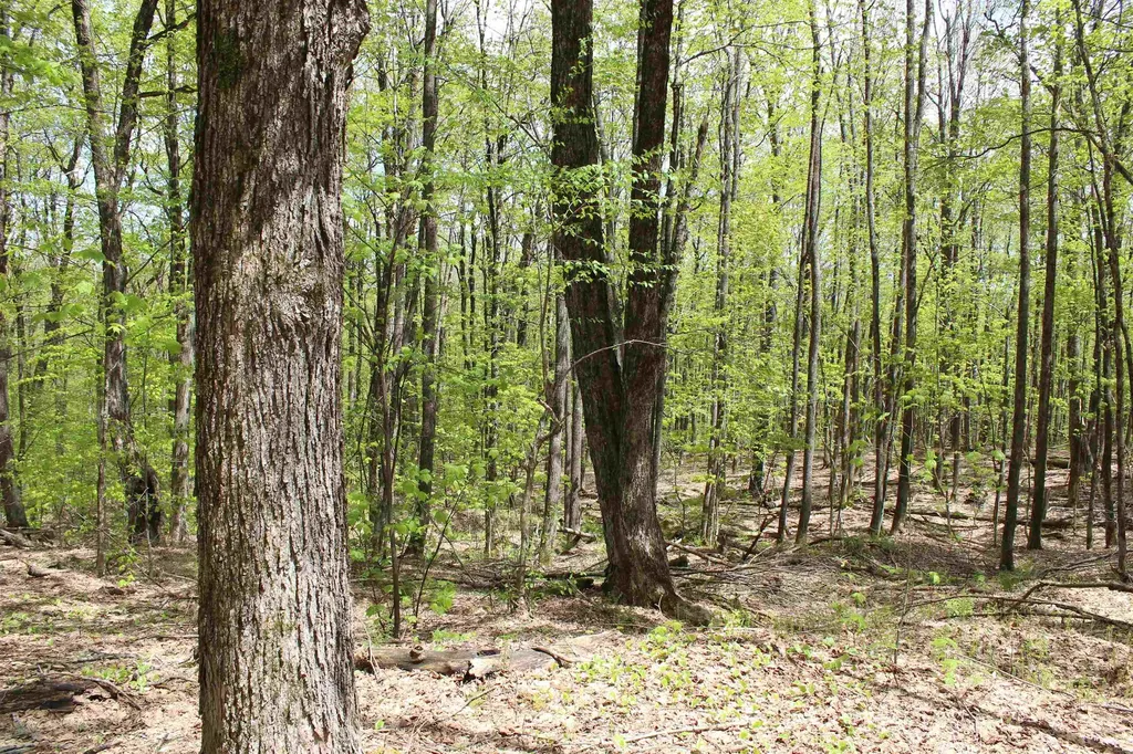 00 Long Hill Road Woodstock VT 05091