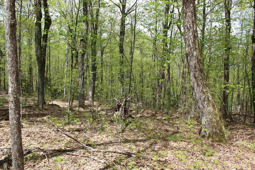 00 Long Hill Road Woodstock VT 05091