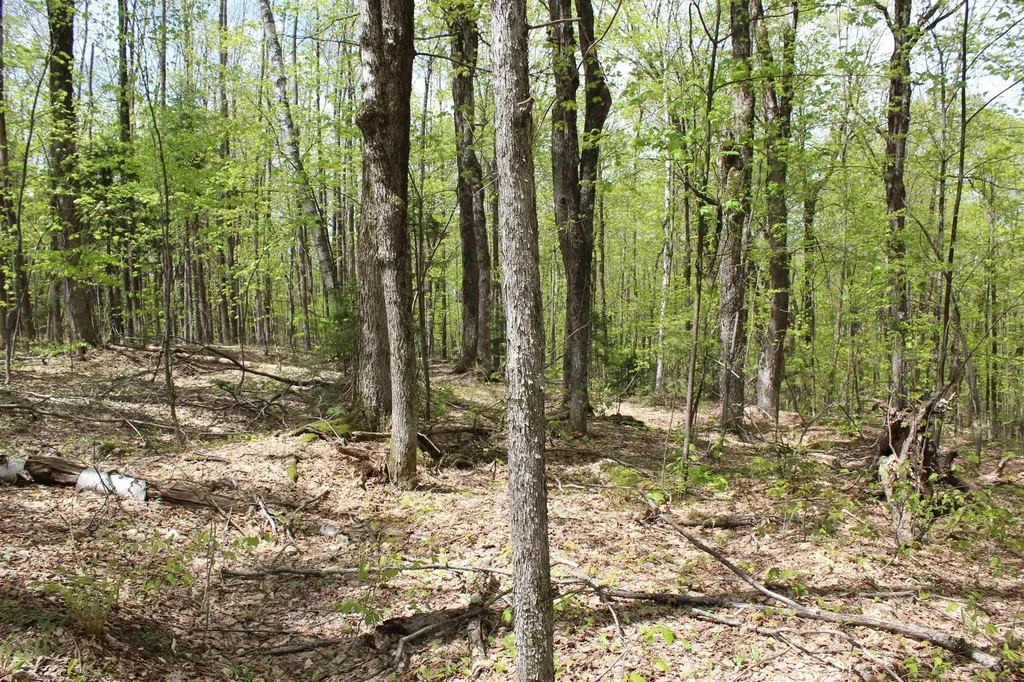 00 Long Hill Road Woodstock VT 05091