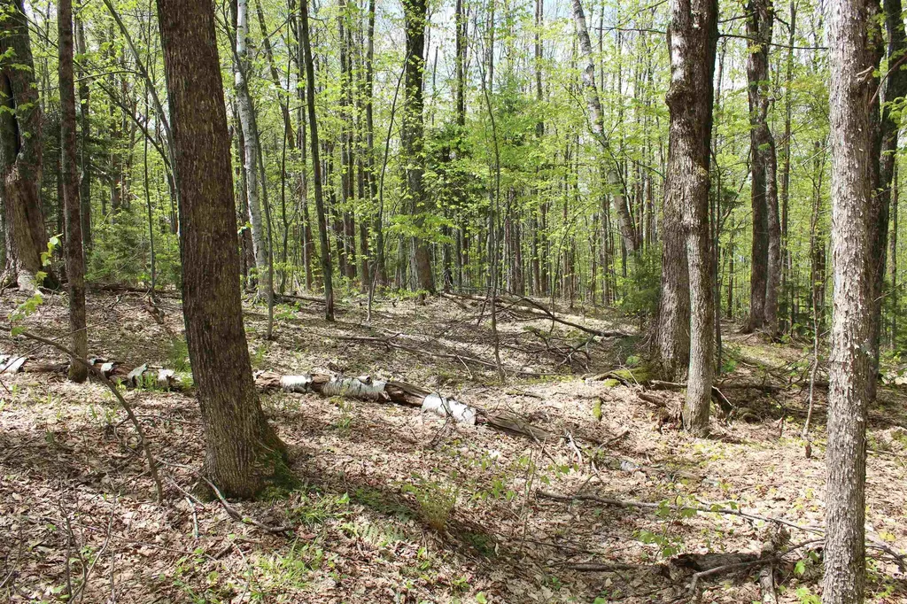 00 Long Hill Road Woodstock VT 05091