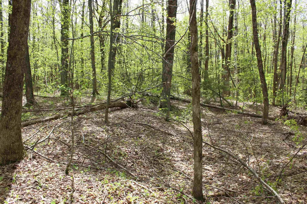 00 Long Hill Road Woodstock VT 05091