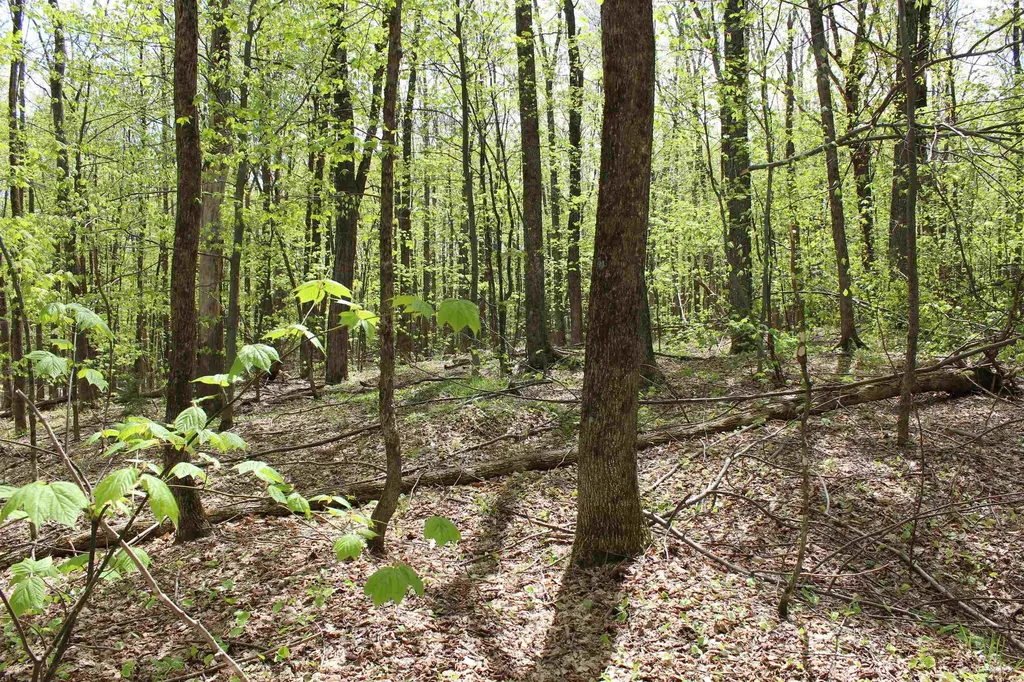 00 Long Hill Road Woodstock VT 05091