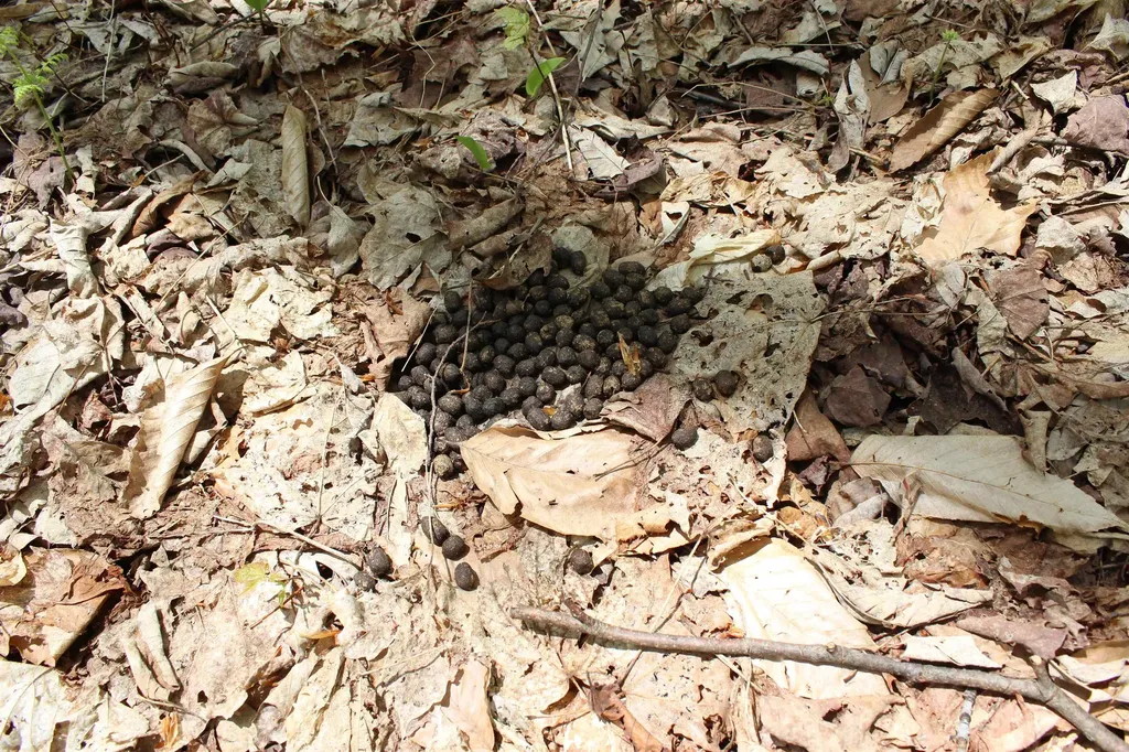 00 Long Hill Road Woodstock VT 05091