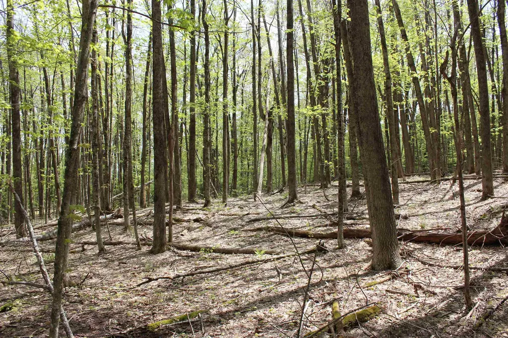 00 Long Hill Road Woodstock VT 05091