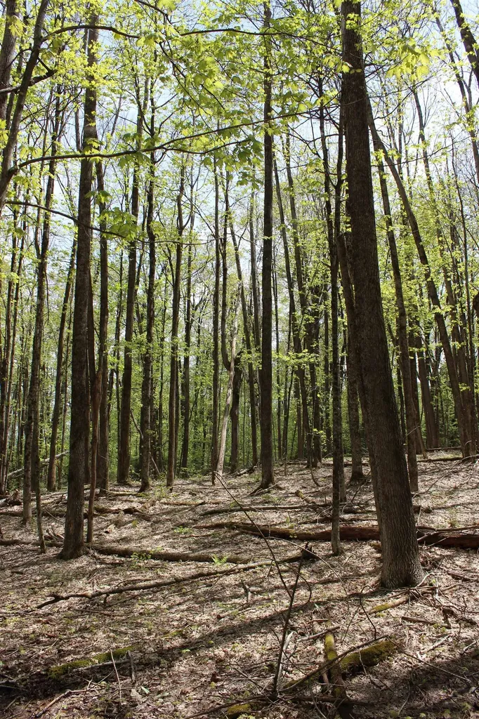 00 Long Hill Road Woodstock VT 05091