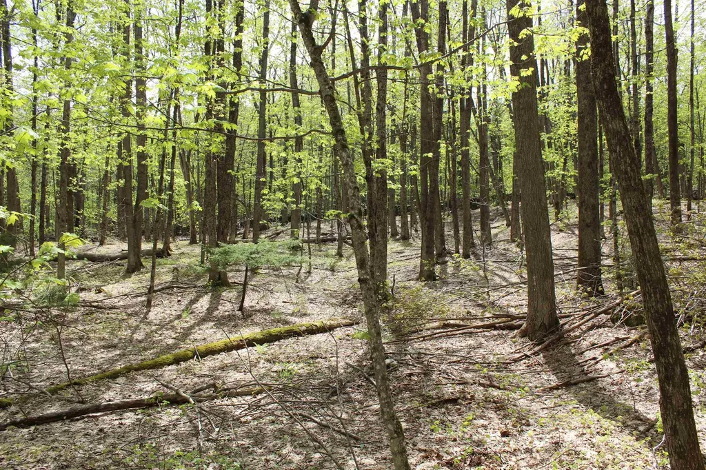 00 Long Hill Road Woodstock VT 05091