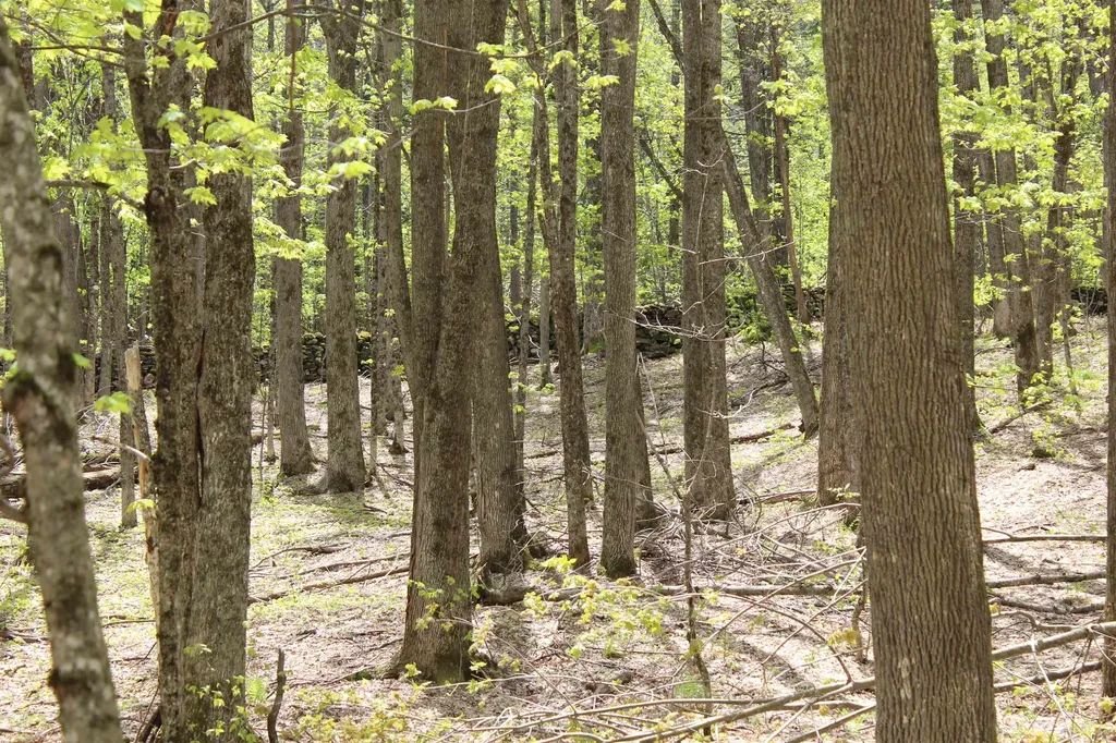 00 Long Hill Road Woodstock VT 05091