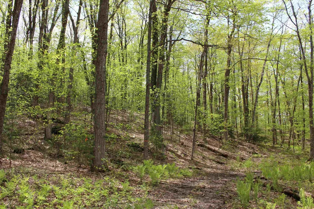 00 Long Hill Road Woodstock VT 05091