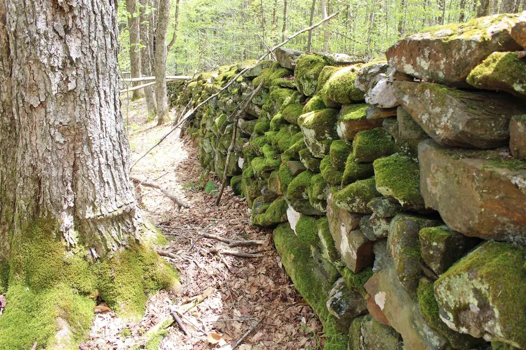 00 Long Hill Road Woodstock VT 05091