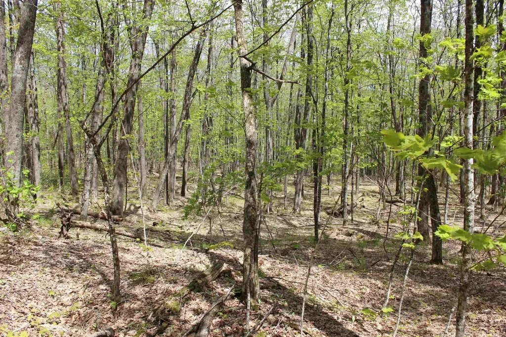 00 Long Hill Road Woodstock VT 05091