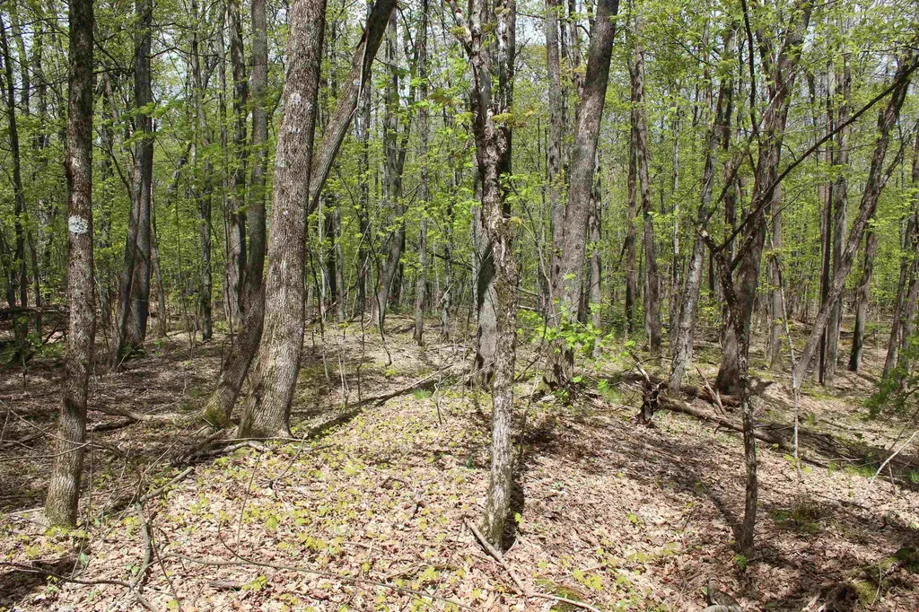 00 Long Hill Road Woodstock VT 05091