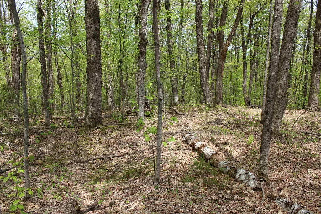 00 Long Hill Road Woodstock VT 05091