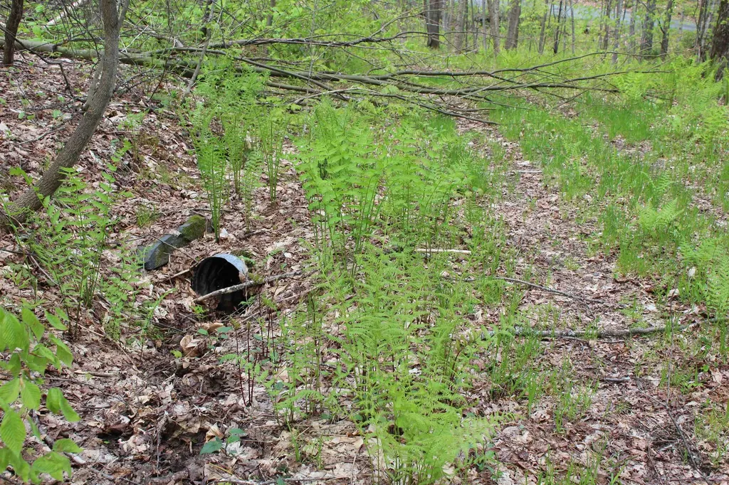 00 Long Hill Road Woodstock VT 05091