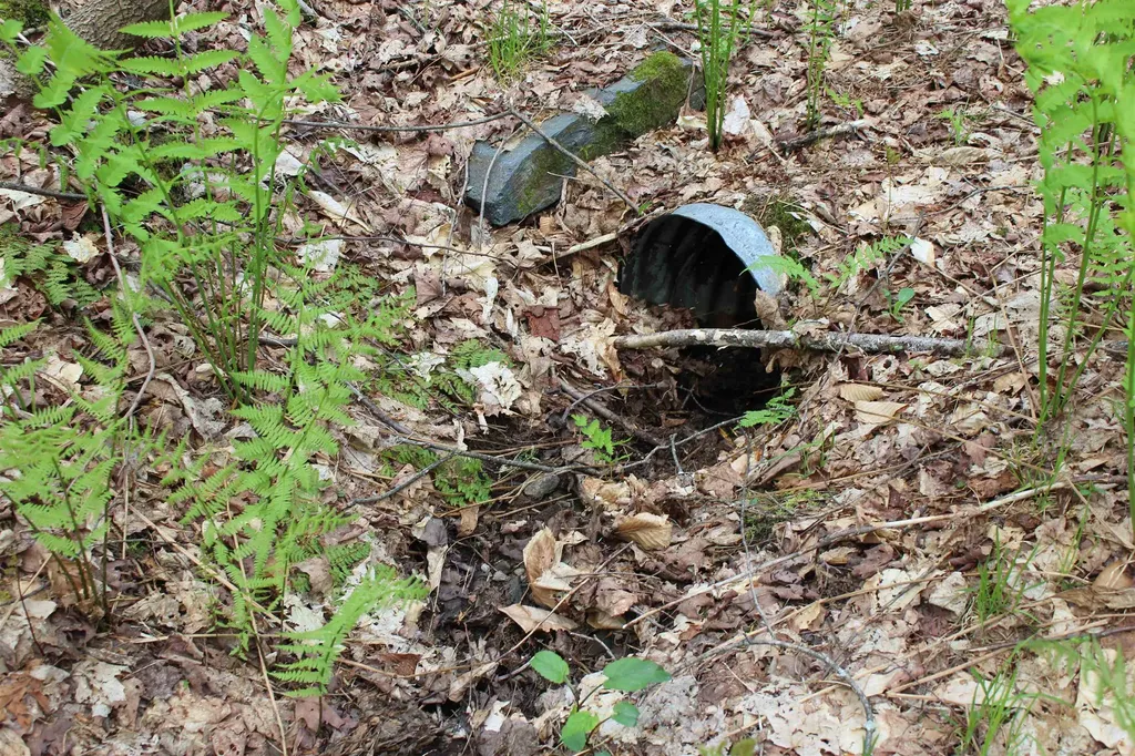 00 Long Hill Road Woodstock VT 05091