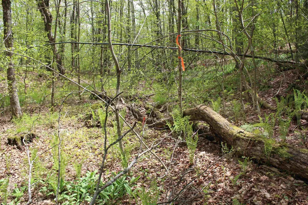 00 Long Hill Road Woodstock VT 05091