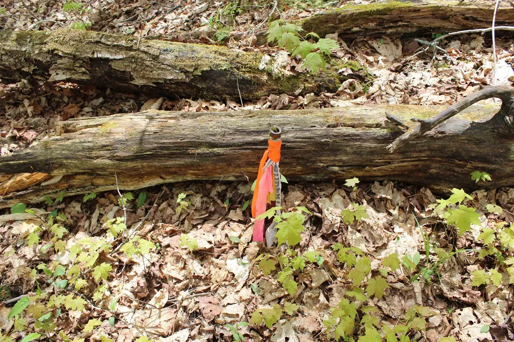 00 Long Hill Road Woodstock VT 05091