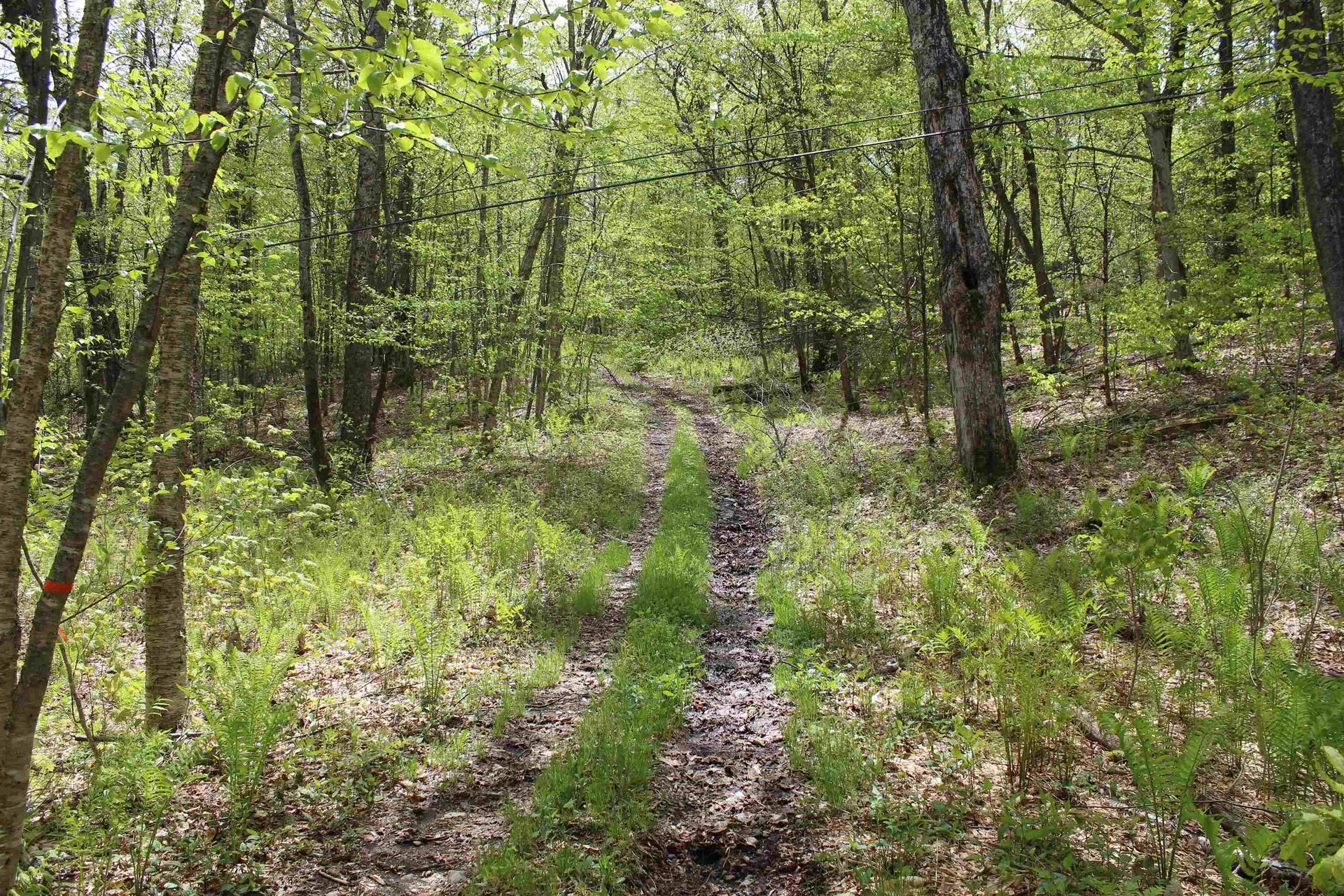 00 Long Hill Road Woodstock VT 05091