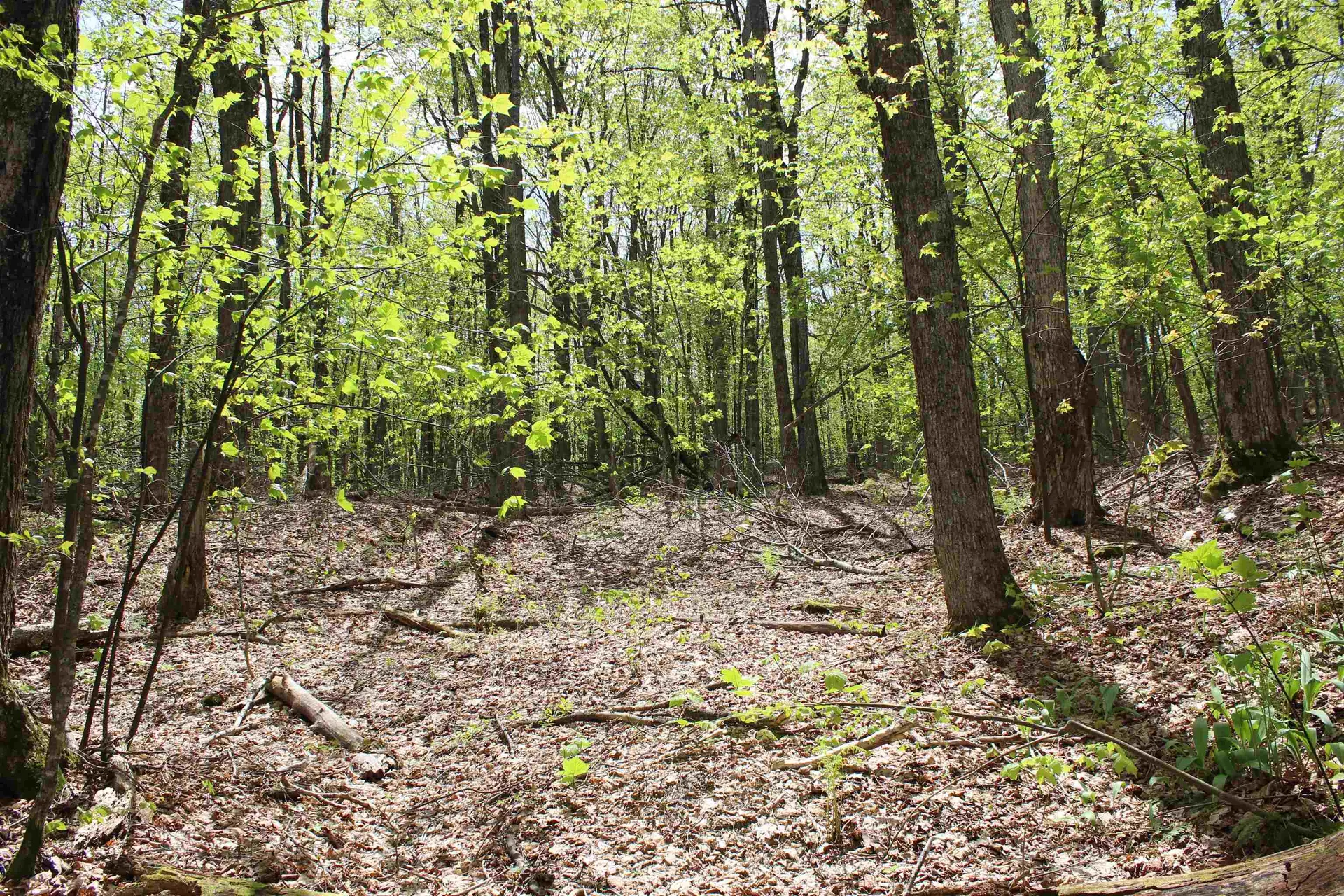 00 Long Hill Road Woodstock VT 05091