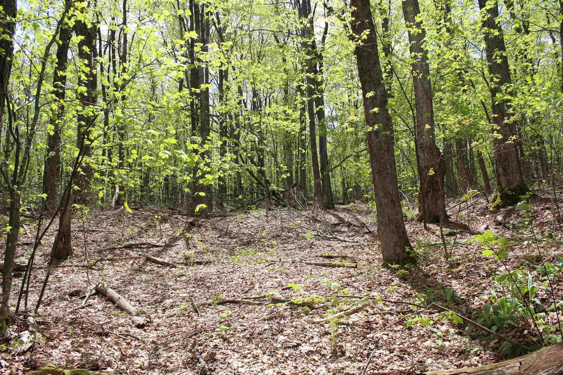 00 Long Hill Road Woodstock VT 05091