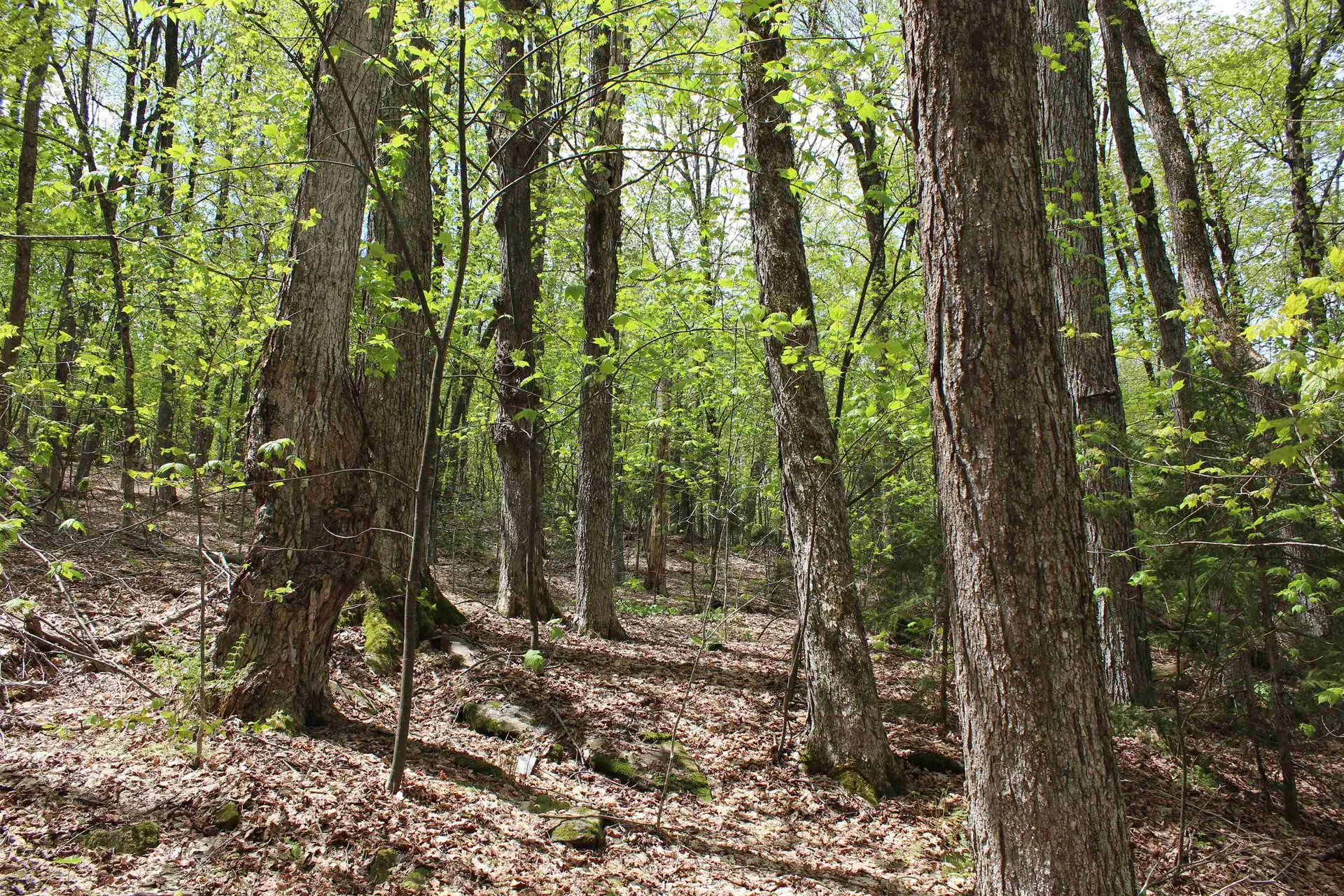 00 Long Hill Road Woodstock VT 05091