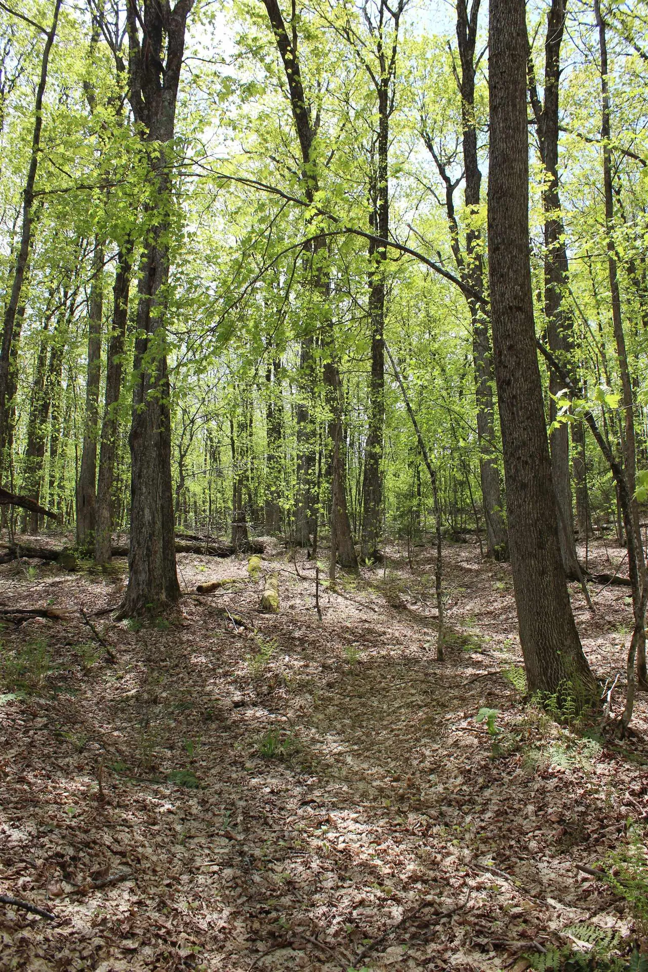 00 Long Hill Road Woodstock VT 05091