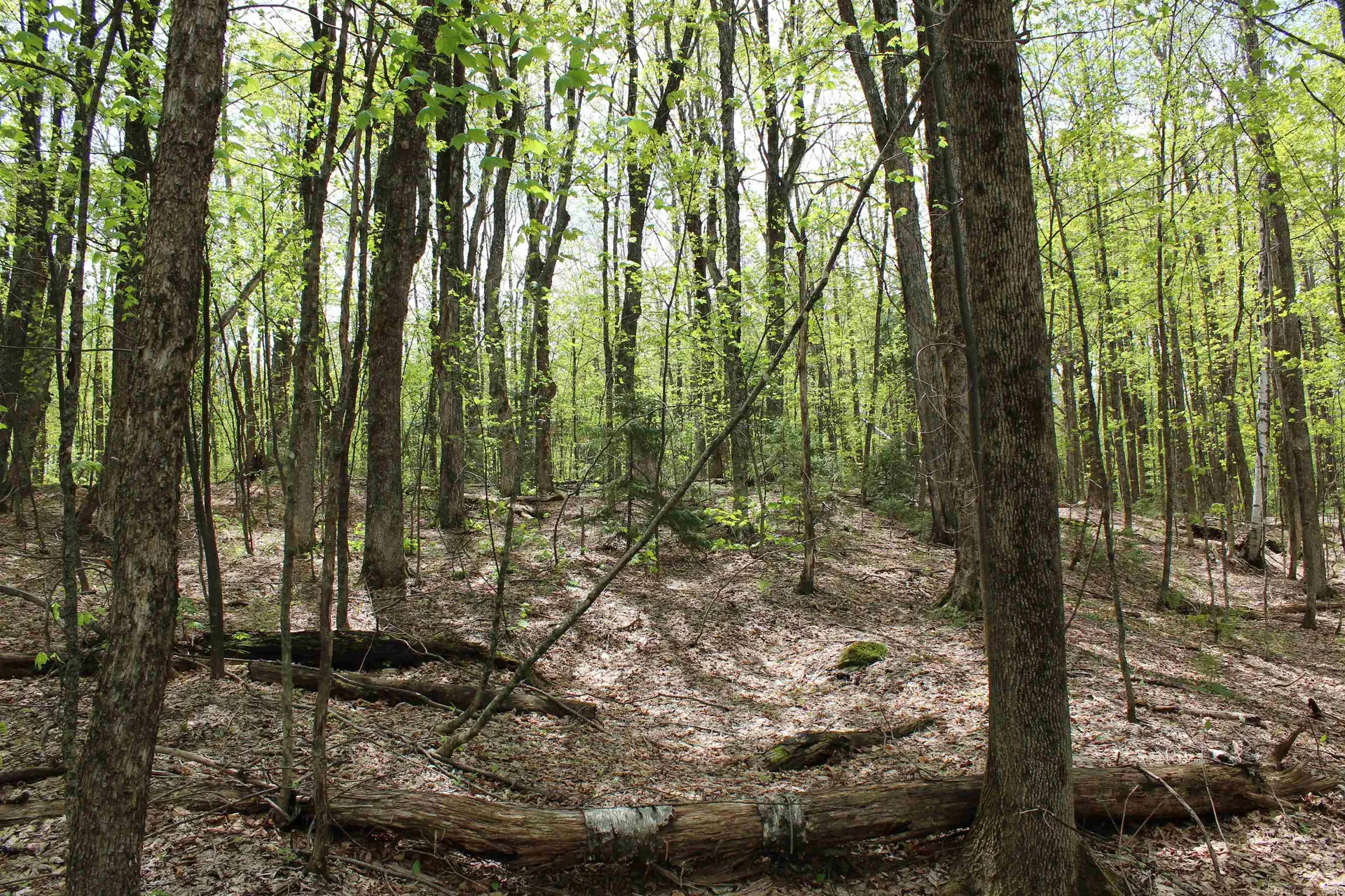 00 Long Hill Road Woodstock VT 05091