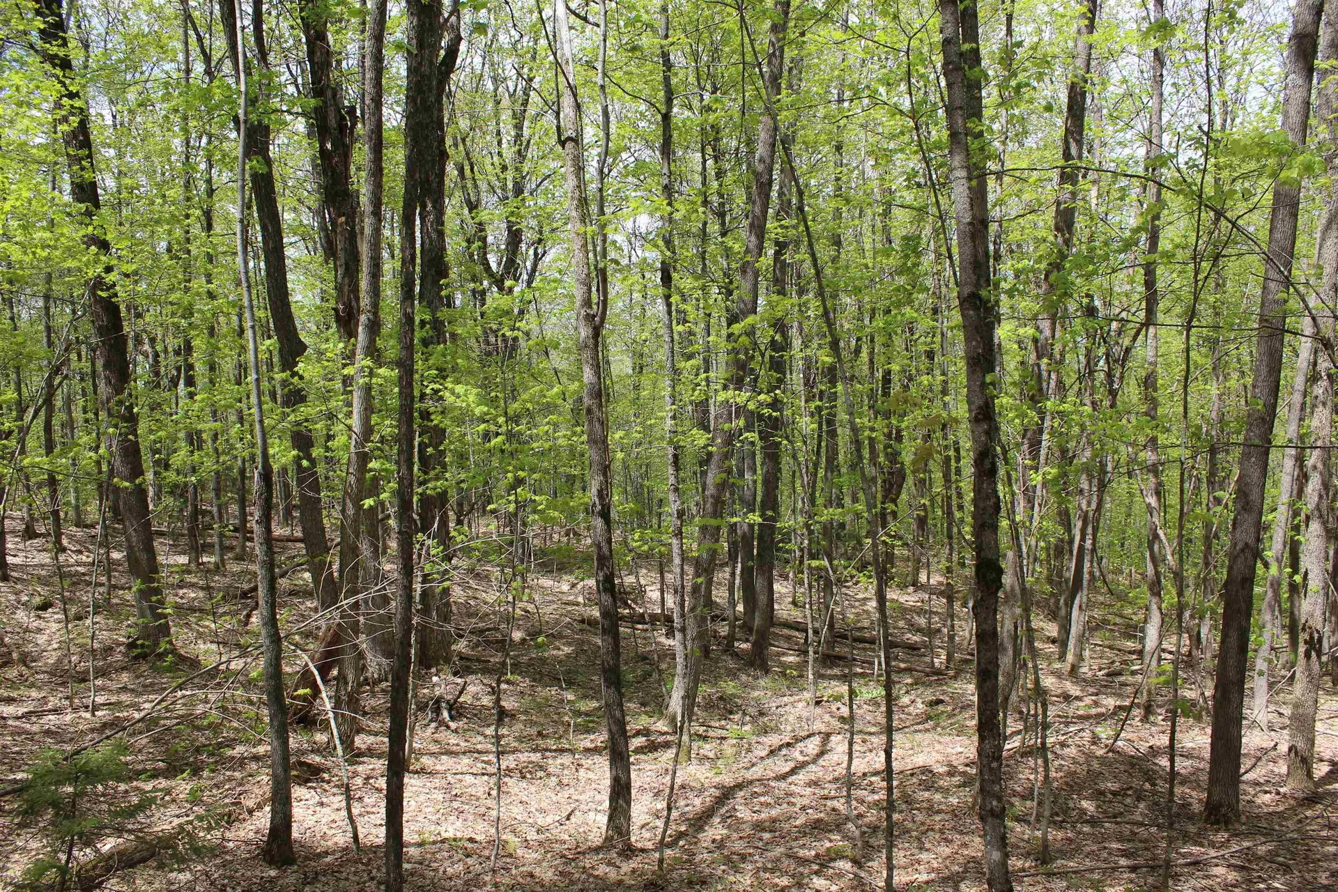 00 Long Hill Road Woodstock VT 05091