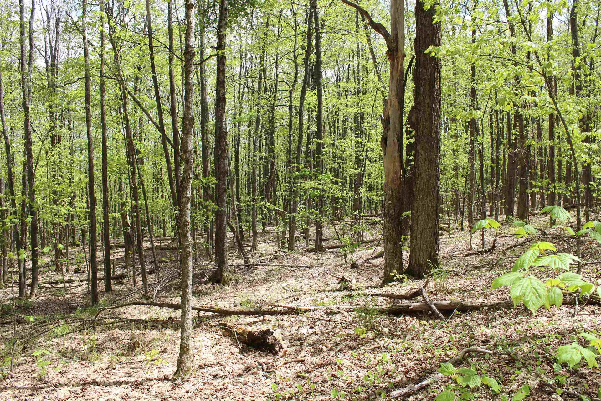 00 Long Hill Road Woodstock VT 05091