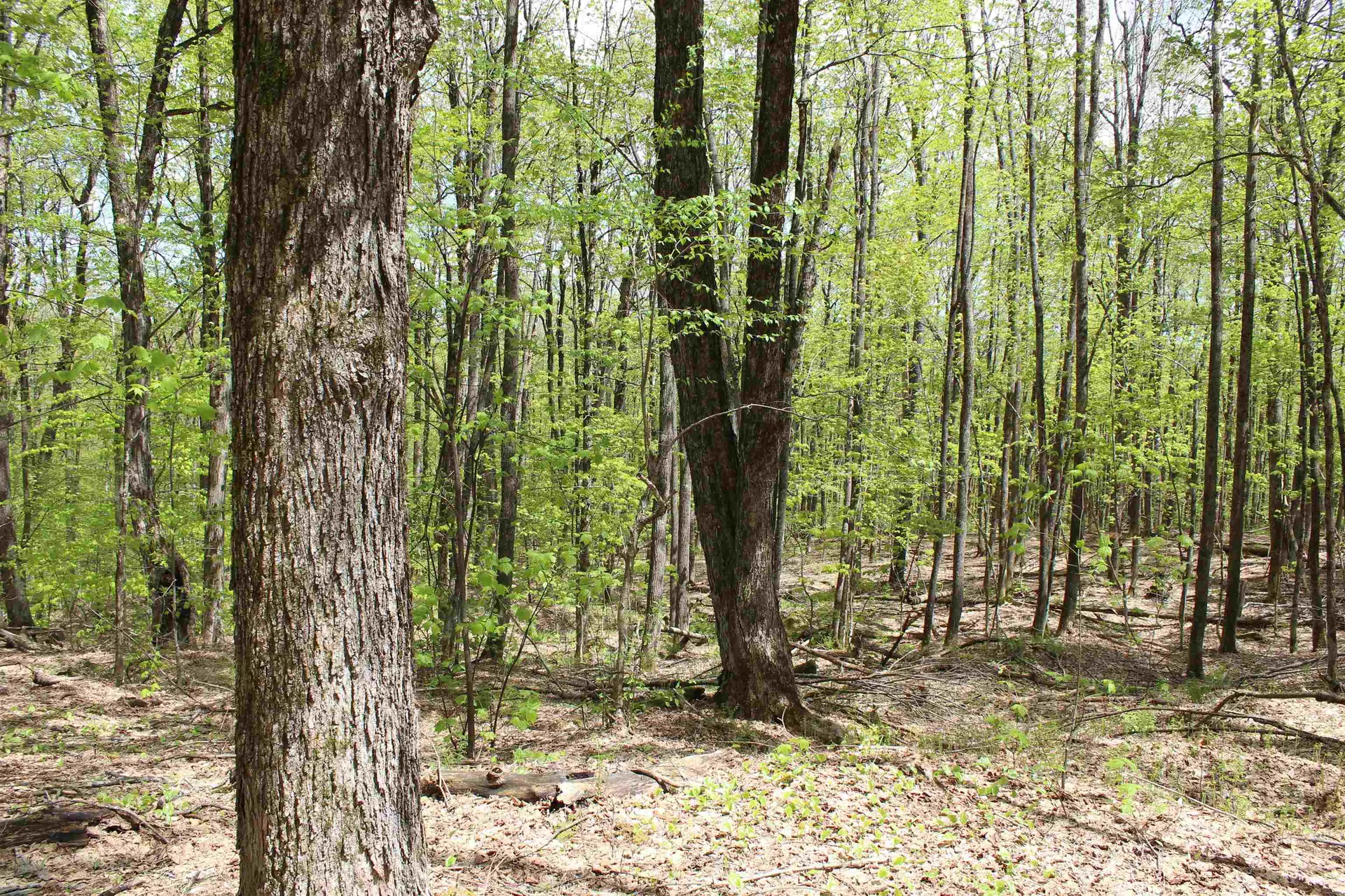 00 Long Hill Road Woodstock VT 05091