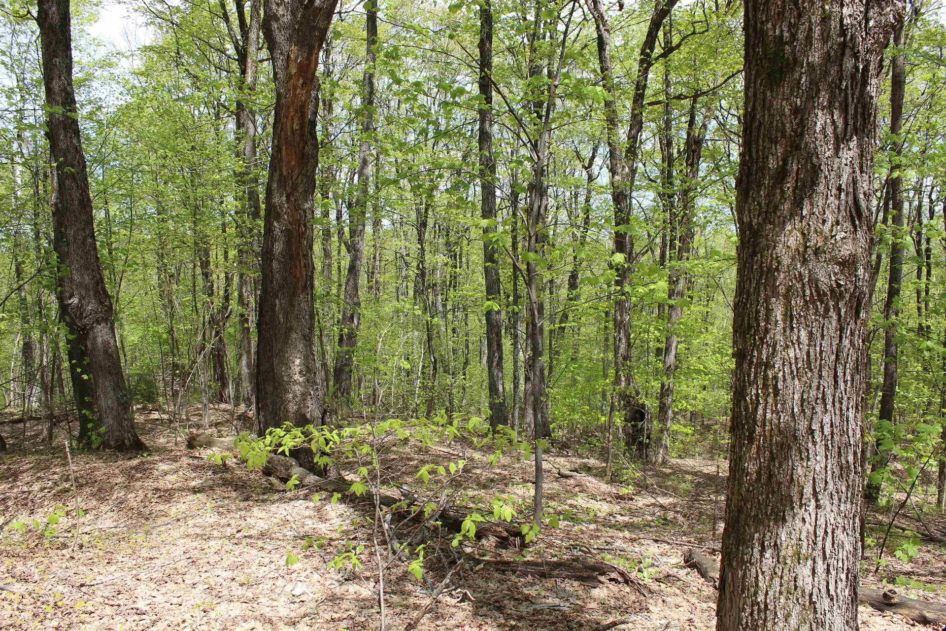 00 Long Hill Road Woodstock VT 05091