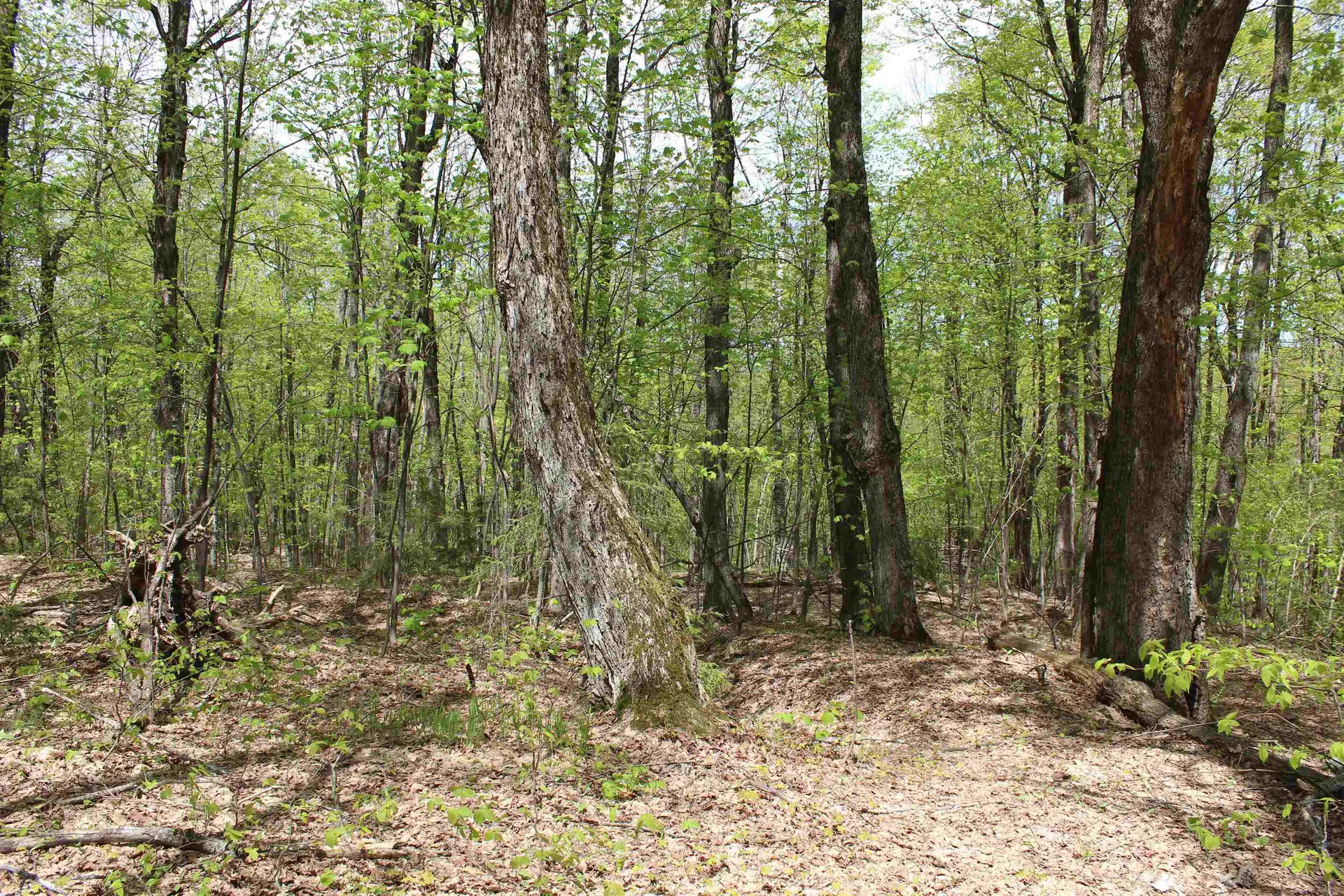 00 Long Hill Road Woodstock VT 05091