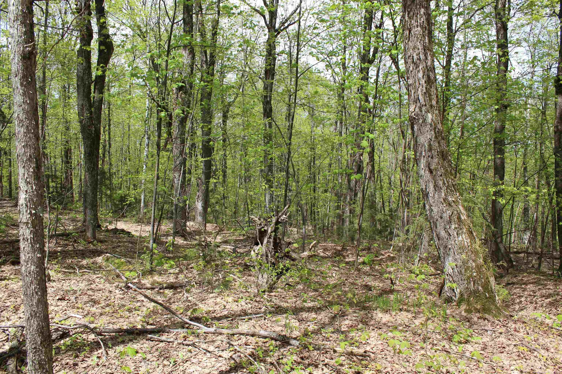 00 Long Hill Road Woodstock VT 05091