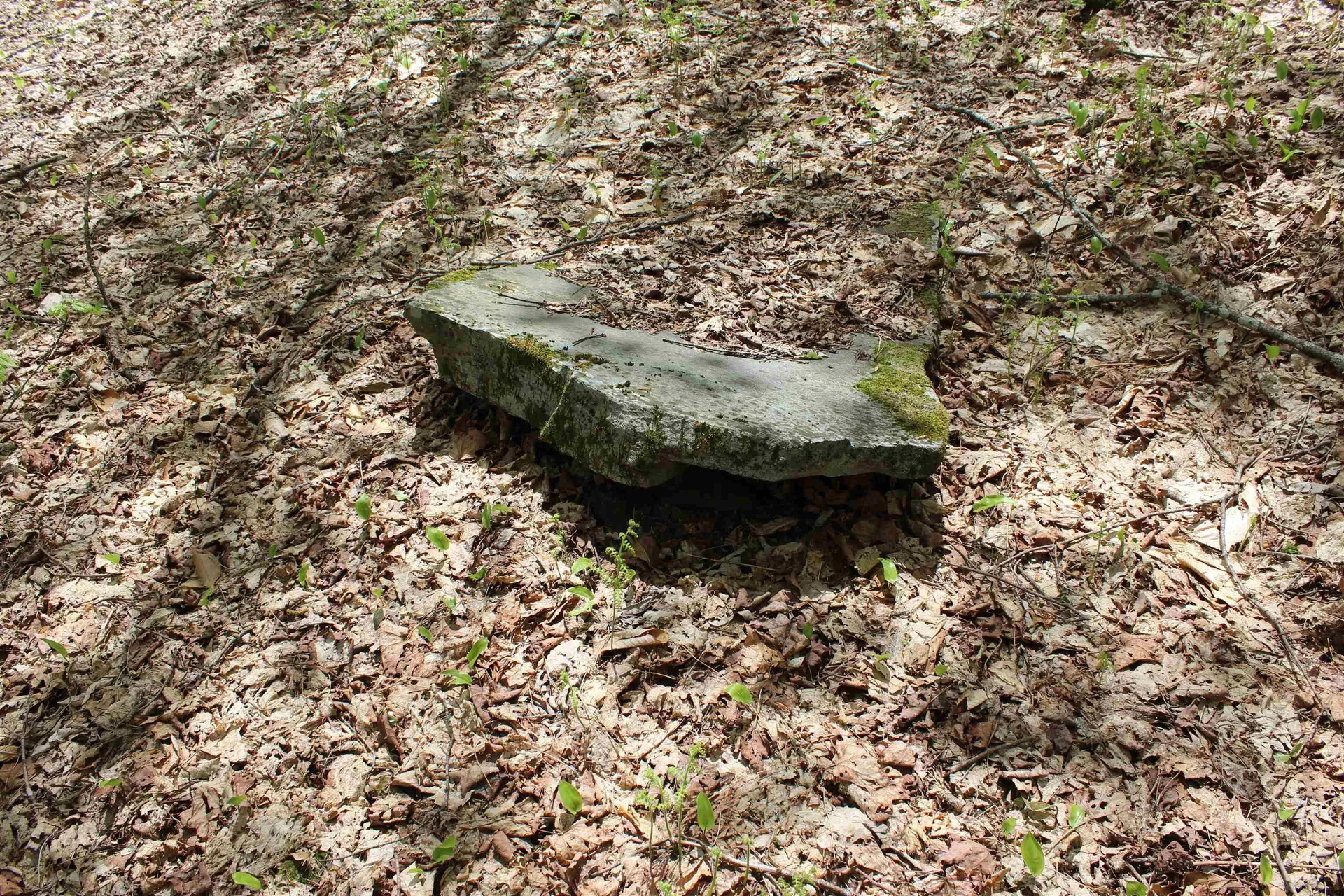 00 Long Hill Road Woodstock VT 05091