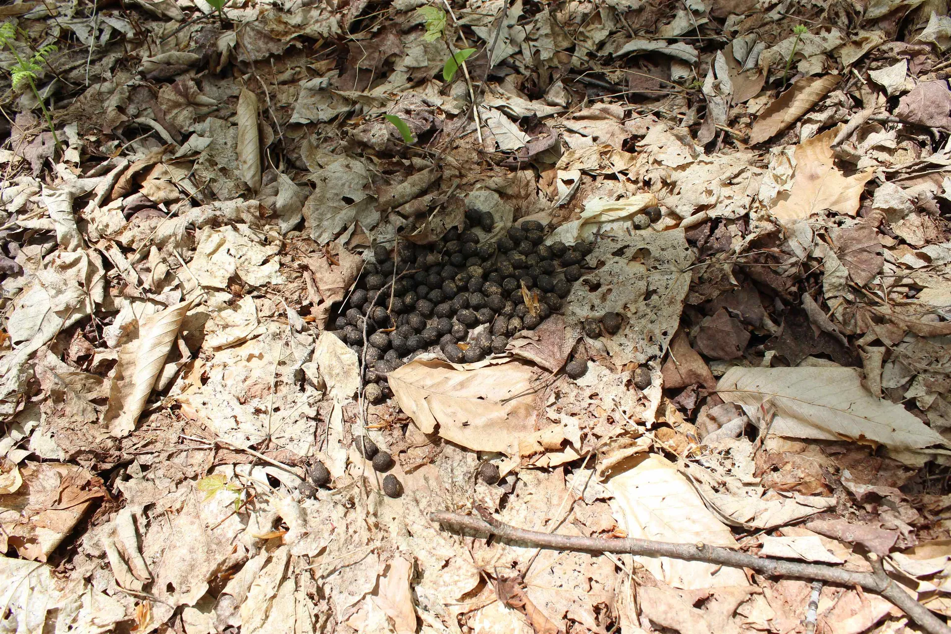 00 Long Hill Road Woodstock VT 05091