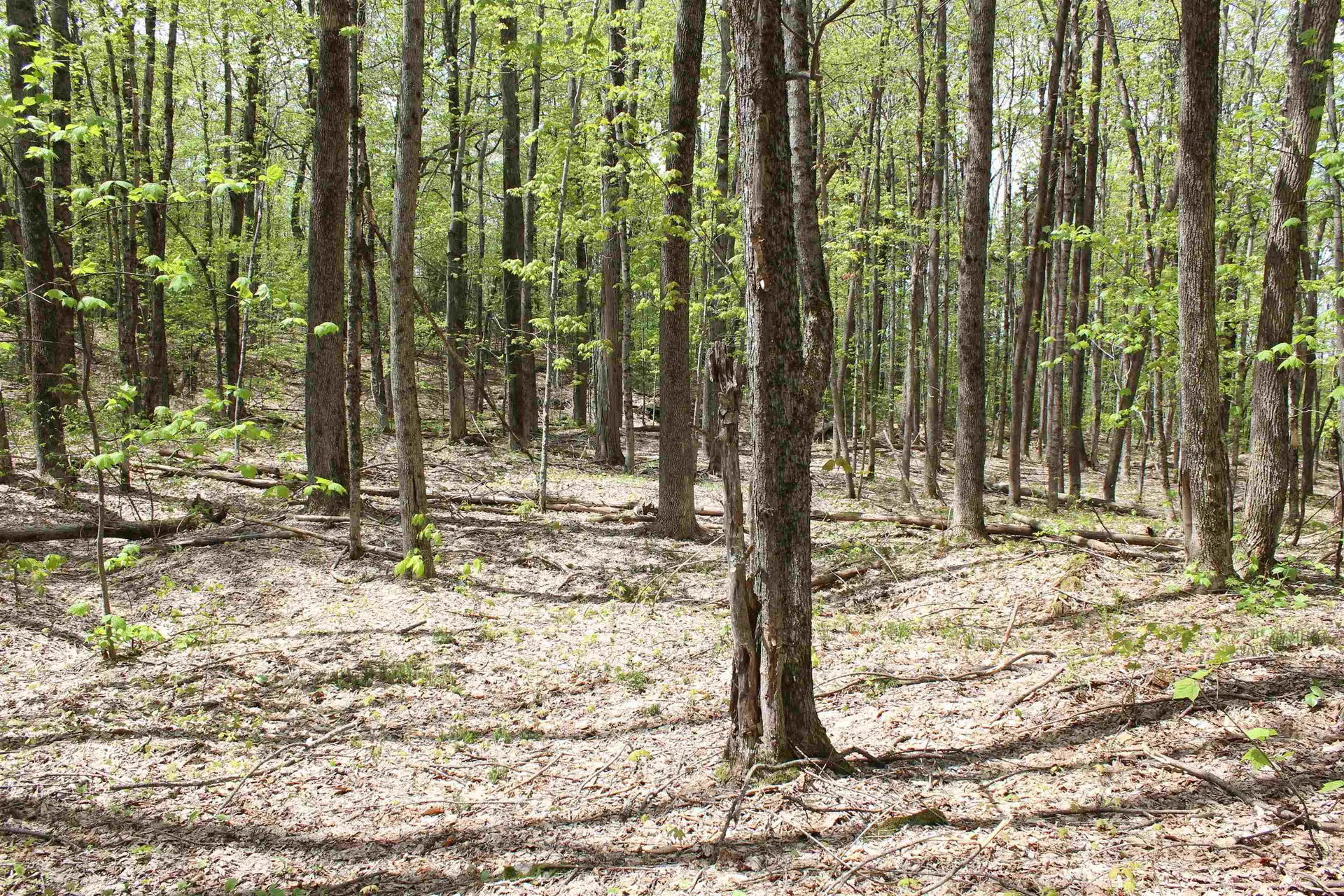 00 Long Hill Road Woodstock VT 05091