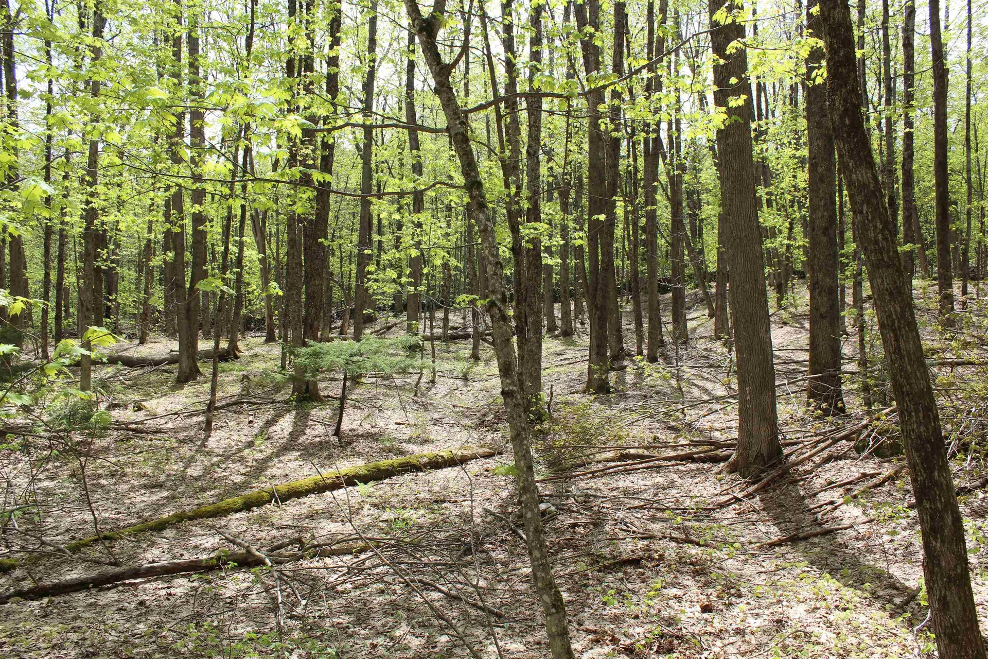 00 Long Hill Road Woodstock VT 05091