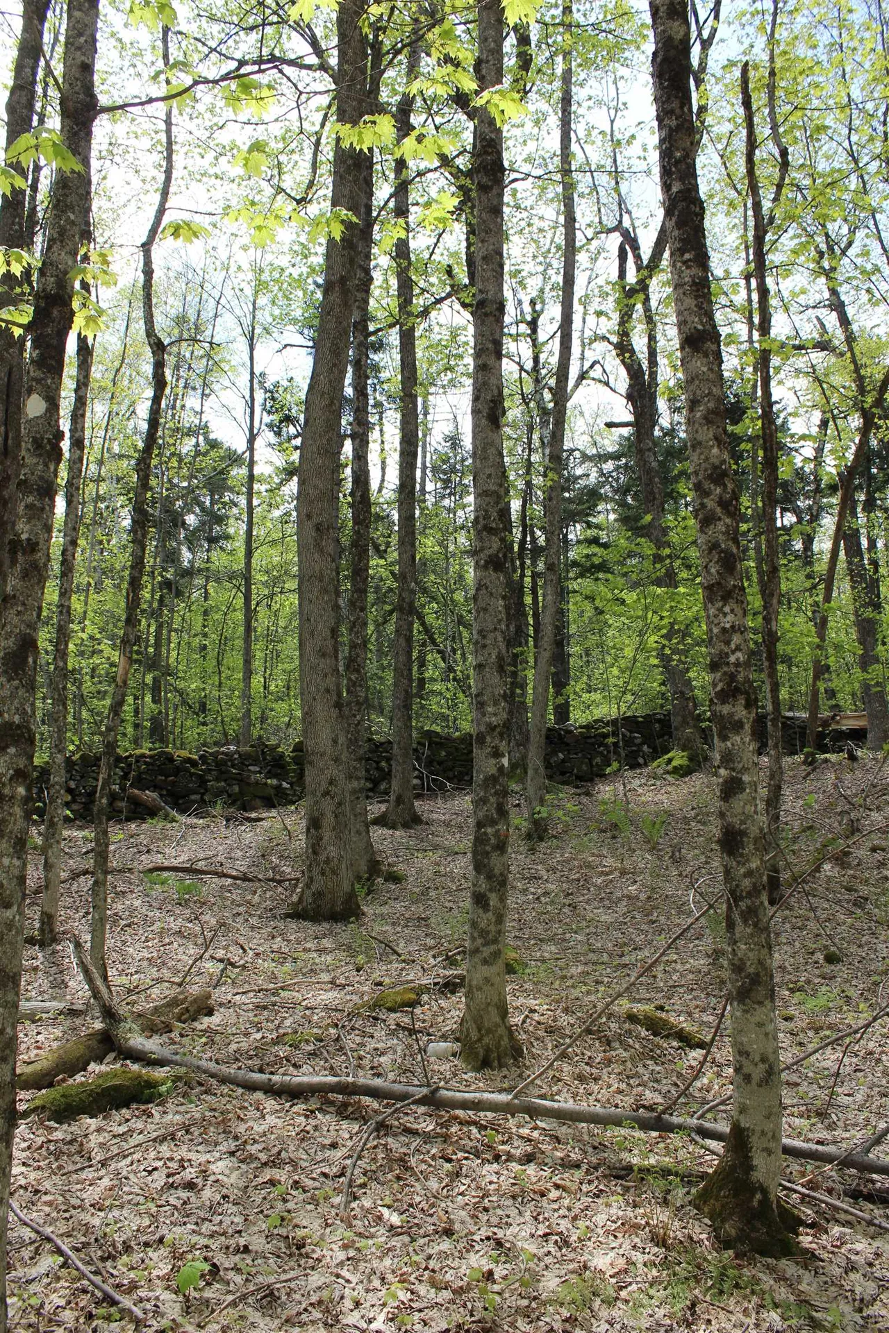 00 Long Hill Road Woodstock VT 05091