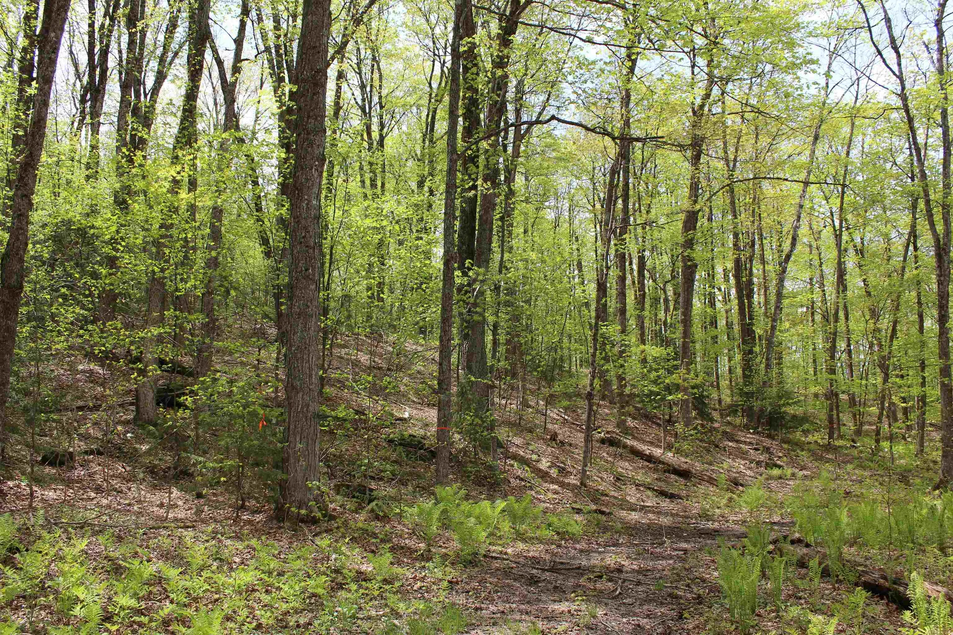 00 Long Hill Road Woodstock VT 05091