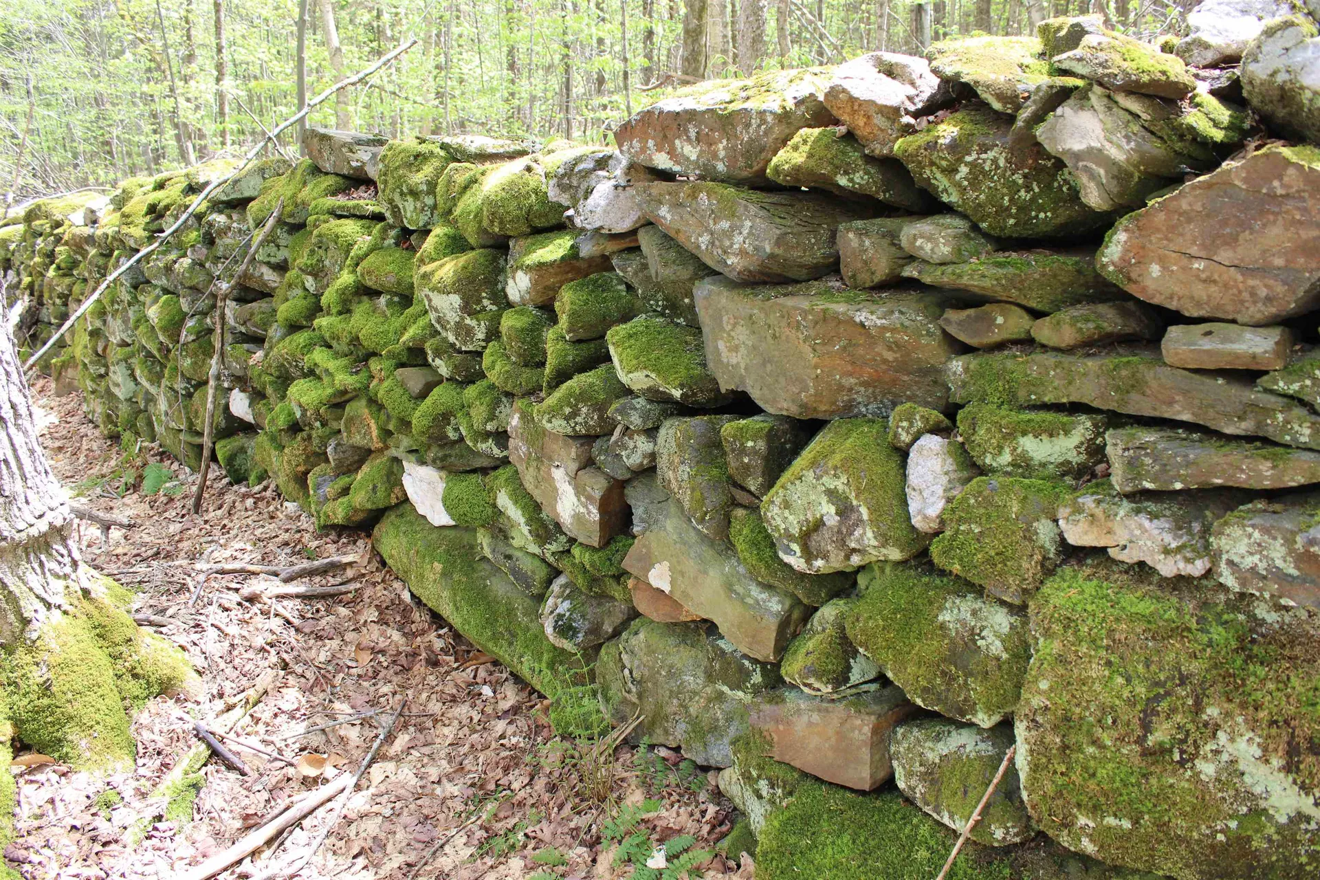 00 Long Hill Road Woodstock VT 05091