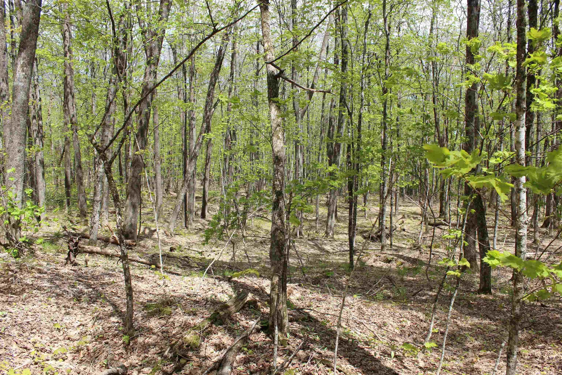 00 Long Hill Road Woodstock VT 05091