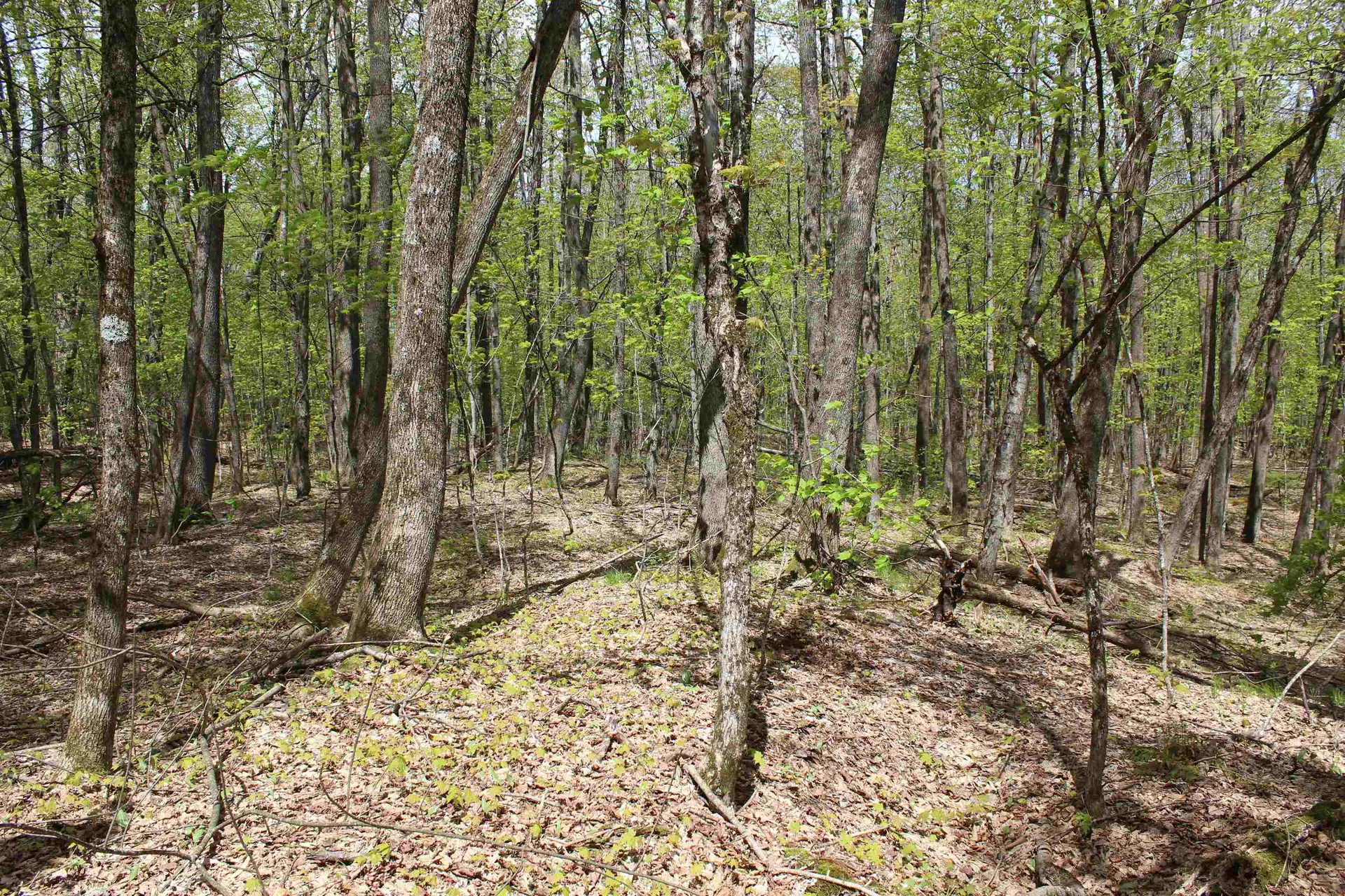 00 Long Hill Road Woodstock VT 05091